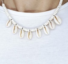 Colour Cowrie Shell Beach