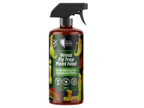 Venus fly trap plant - venus,