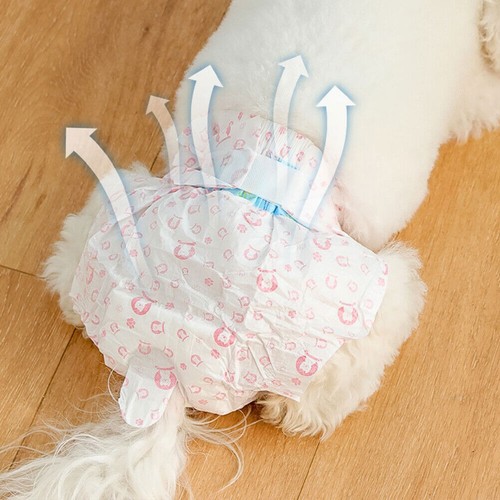 Male female dog - dog, diapers