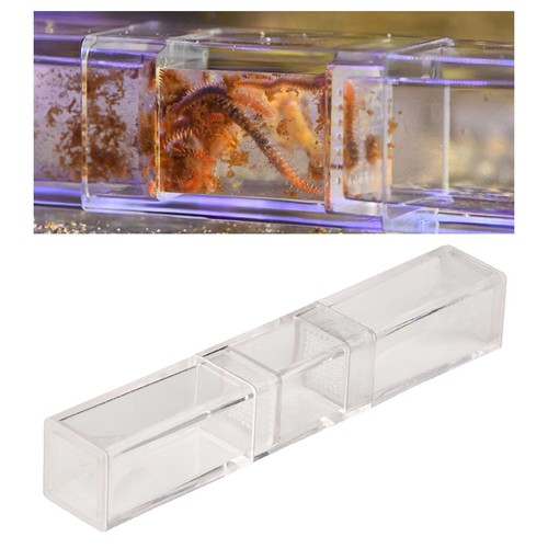 Planaria catcher clear for - planaria,