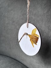 Pressed daffodil wooden - pressed,