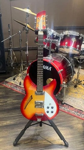 Rickenbacker style electric - style,
