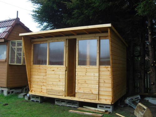 Pigeon loft - pigeon,