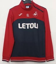 Swansea City FC 2017/2018