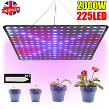 2000W LED Grow Light for