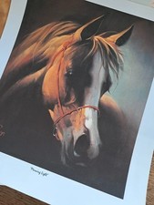 Stunning Limited Edition