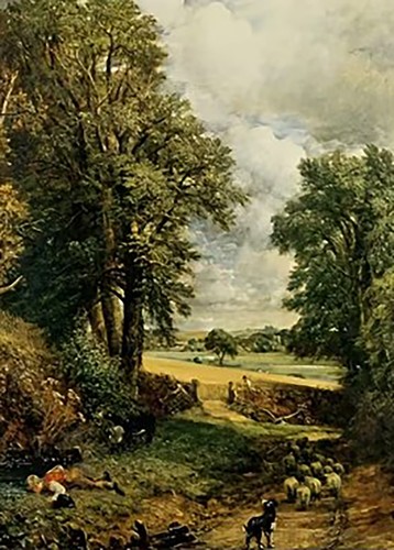Constables the cornfield - the,