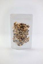 African Moringa Seeds