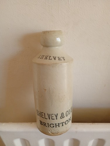 Brighton ginger beer shelvey - brighton,