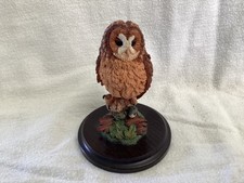 Country Artists Tawny Owl