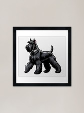 Giant Schnauzer Dog Giant