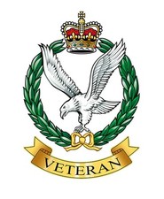 Army Air Corps Veteran