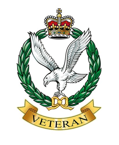 Army air corps veteran - air,
