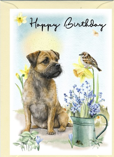 Border terrier dog - x, 6")