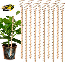 10Pcs Electroculture Plant