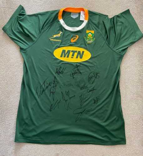 South africa springboks rugby - africa,