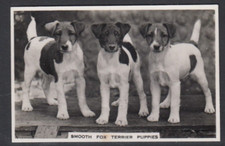 1939 Pattreioux Real Photo