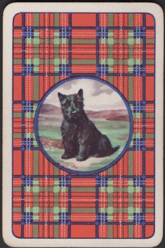 Playing cards single - playing, card