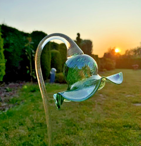 Glass flower garden - , 75cm