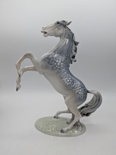 Large Dappled Grey horse horse