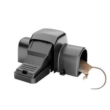 Large Dual Entry Pet Friendly