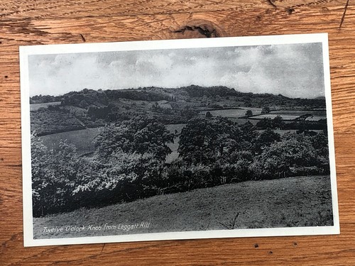 Vintage postcard twelve - vintage,