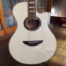 YAMAHA APX1000 Acoustic