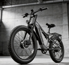 Long Rang Electric Bike 26''