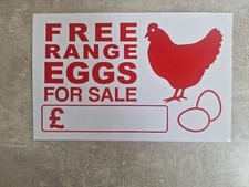 Free Range Eggs For Sale -