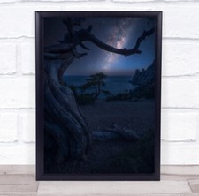 Bay Sea Rocks Mountains Tree