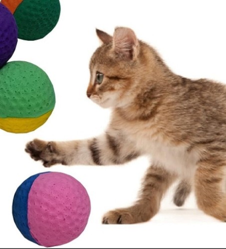 Cat kitten toys - kitten, of