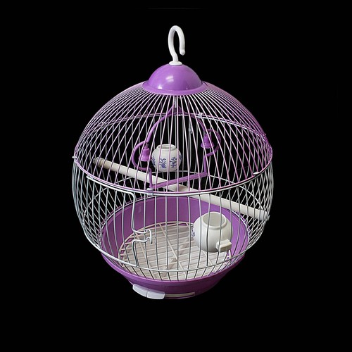 Round bird cage with - bird,
