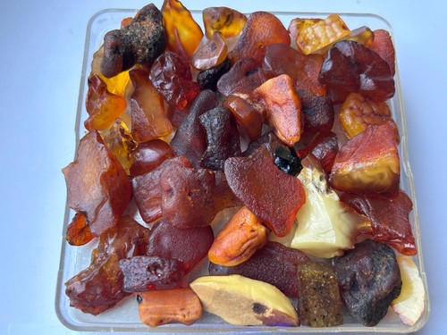 70gr natural raw baltic - raw,