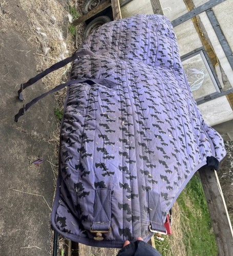 Horse 200g stable rug - horse,