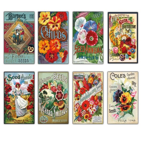Vintage botanical seed packet - vintage,
