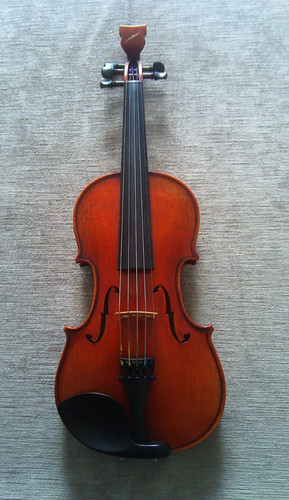 Bridge tasman string - tasman, 5