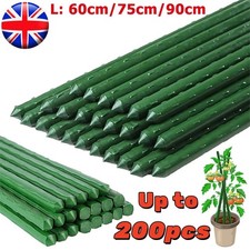Green Garden Plant Stakes