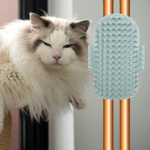 Cat corner - corner, wall