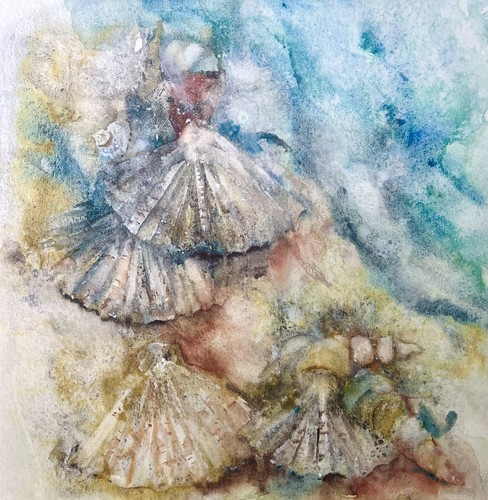 Seashell coastal watercolour - seashell,