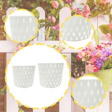 Wall Hanging Planter Hanging