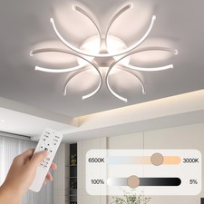 Modern Lamp LED Ceiling Light