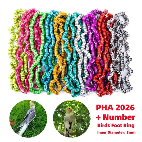 2026 multicolor 60pcs 8mm - 60pcs*8mm, bird