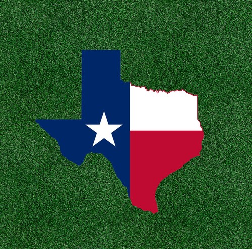 Texas state flag - flag, 100%