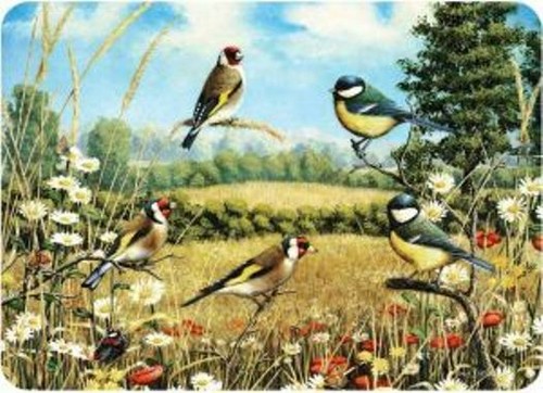 Goldfinches tuftop worktop - goldfinches,