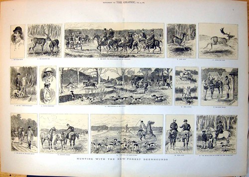 Antique print hunting with the - antique,