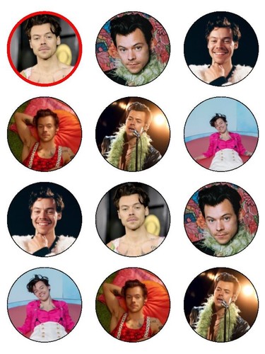 Harry styles pre cut - 12,