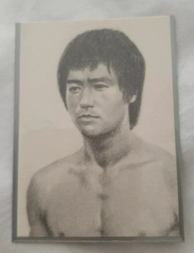 Bruce lee hand drawn - bruce,