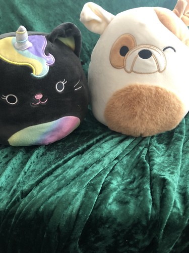 Squishmallow bundle brock - brock, the