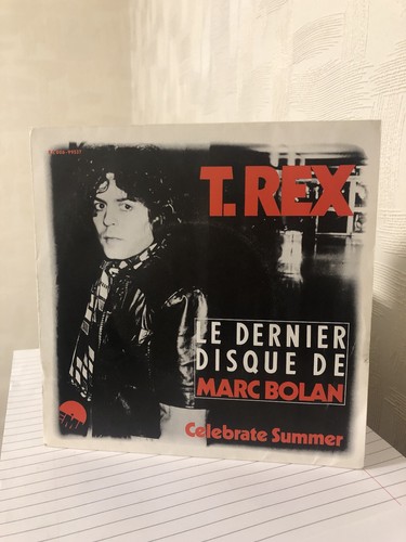 Rex celebrate summer - celebrate,