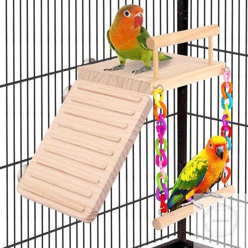 Bird perch cage - bird,